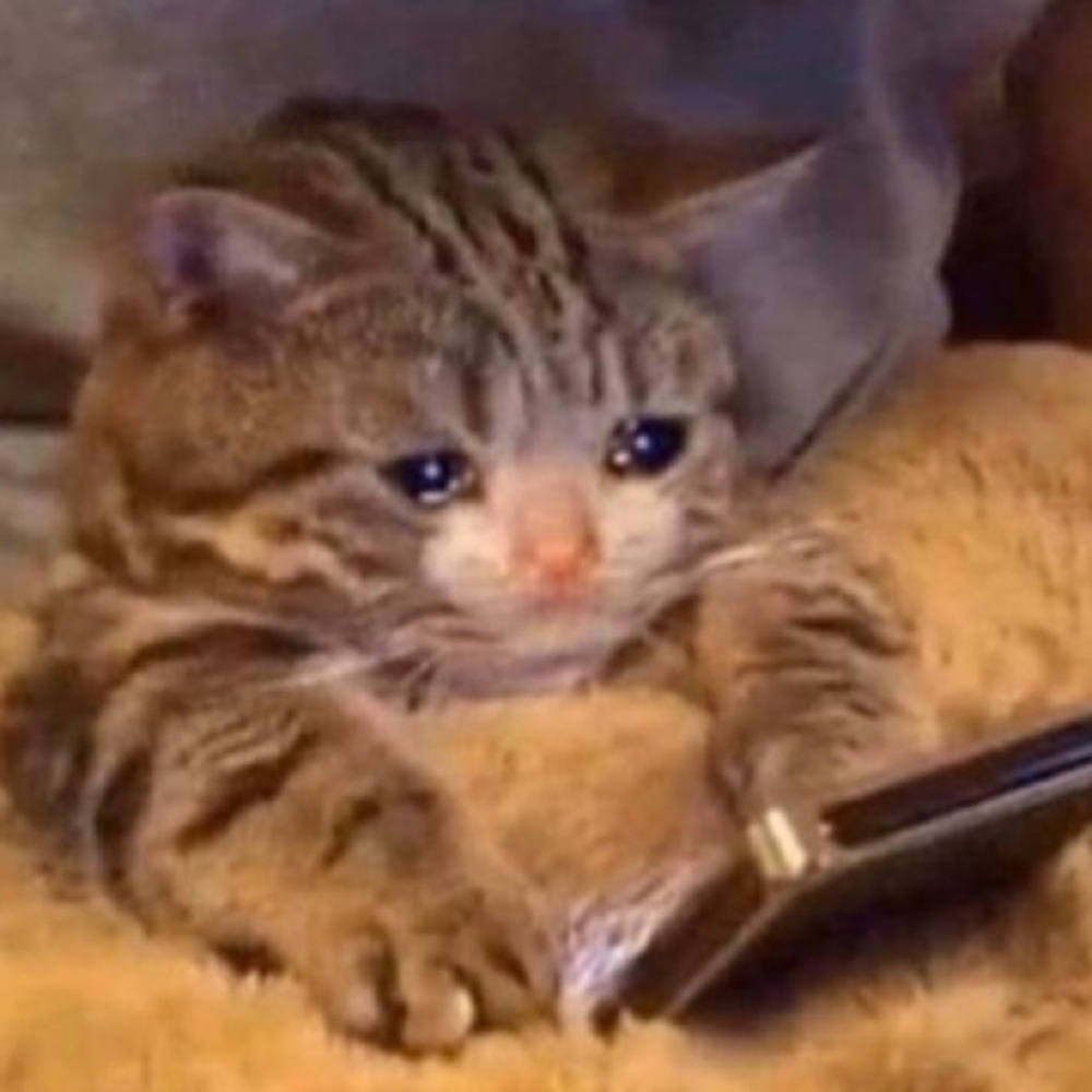 Meet your Posher, Stacey